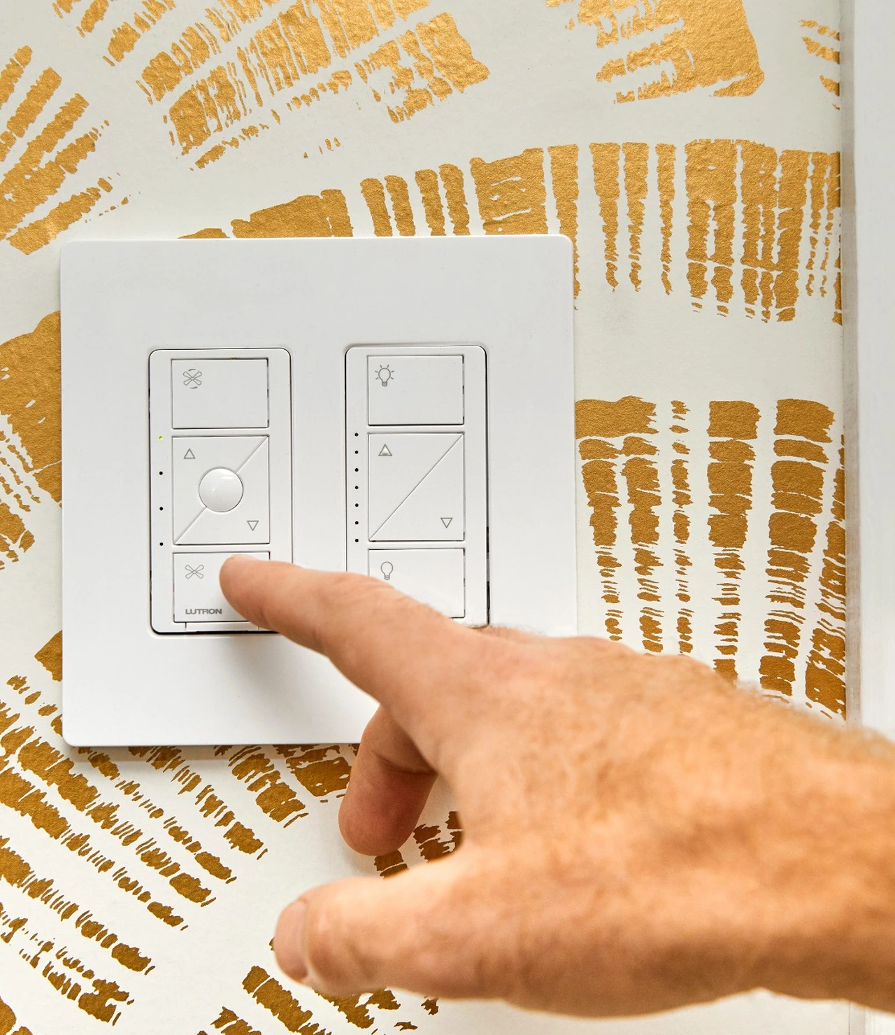 Lutron Installer Cleaner Lighting Control Keypad Lutron Installer Cleaner Lighting Control Keypad