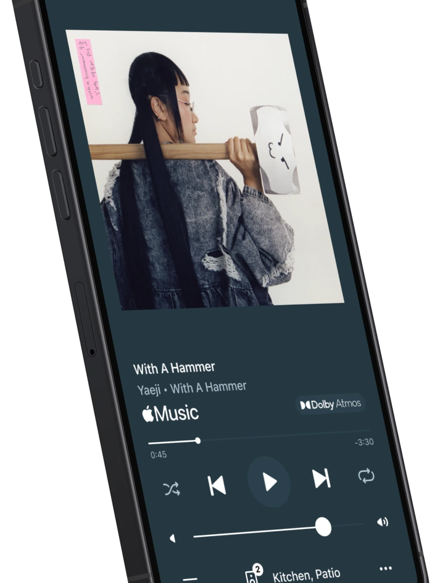 Sonos Whole Home Music Room App Group Control